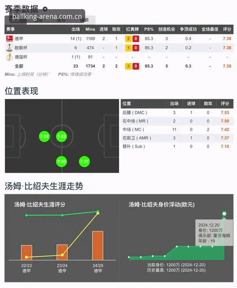 球王会体育平台实战体验：从赔率分析到操作效率的全面评测